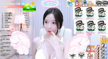 한국야동 잊을만하면 돌아오는 비제이들 노출 사건사고 1